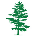 region 7 education service center