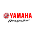 yamaha motor electronics india pvt ltd
