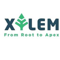xylem learning
