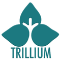 trillium employment services