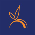 ripeconcepts inc