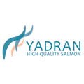yadran high quality salmon