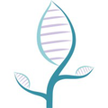 arbor womens health elevated