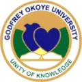 godfrey okoye university
