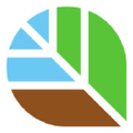 the new forests company