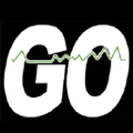 go wireline llc