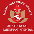 sri sathya sai sanjeevani hospital india