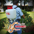 swissmex rapid sa de cv