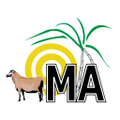 ministry of agriculture and food security