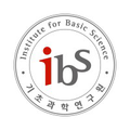 institute for basic science ibs