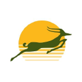 precision air tanzania