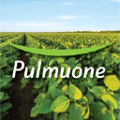 pulmuone foods usa inc