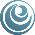 nwo dutch research council