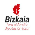 bizkaiko foru aldundia