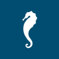 hipotels hotels resorts