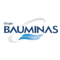 grupo bauminas