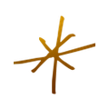 experimental group