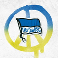 hertha bsc gmbh co kgaa