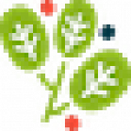 tuomi
