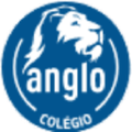 curso e colegio anglo unidades leonardo da vinci