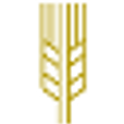 grupo trimex
