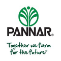 pannar seed