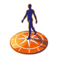 rabobank brasil