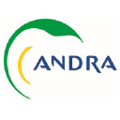 andra