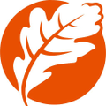 marigold hospital and critical care centre