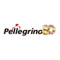 pellegrino autopecas e motopecas