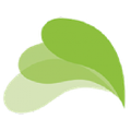 grupo aviserrano