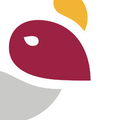 condor travel