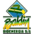 baldin bioenergia sa