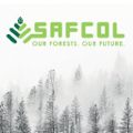south african forestry company soc limited safcol