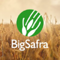 big safra
