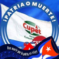 union cubapetroleo cupet