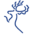 gemeente hellendoorn