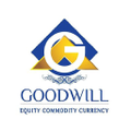 goodwill wealth management pvt ltd