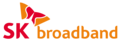 sk broadband