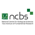 ncbs