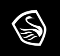 black swan png