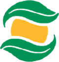 produtiva sementes