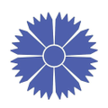 belavia belarusian airlines