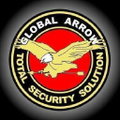 pt global arrow