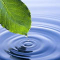 ministry of water and environment directorate of water resources management uganda