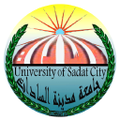 university of sadat city