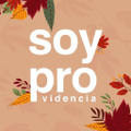 ilustre municipalidad de providencia