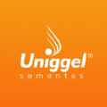 uniggel sementes
