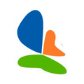 stp group