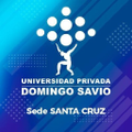 universidad privada domingo savio upds